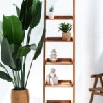 Vynna Acacia Wood Ladder Shelves
