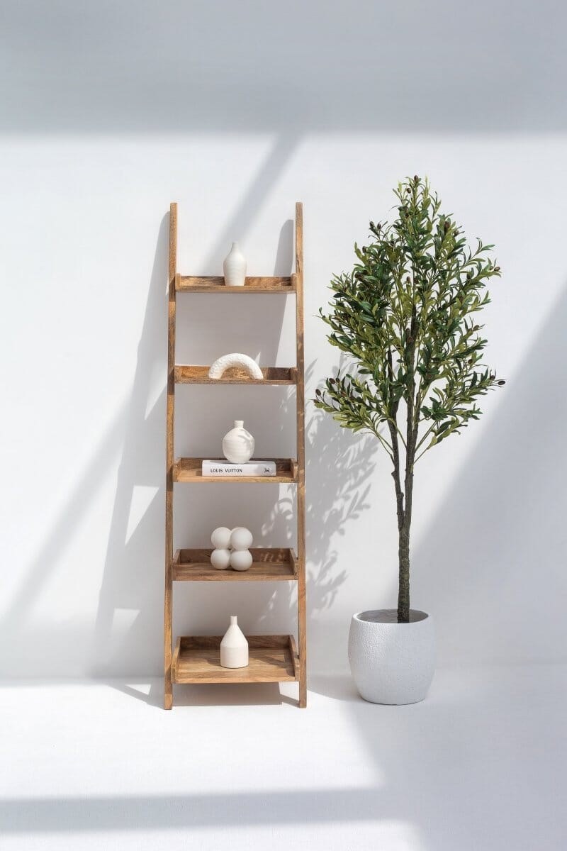 Jennifer Mango Wood Ladder Shelves - Image 5