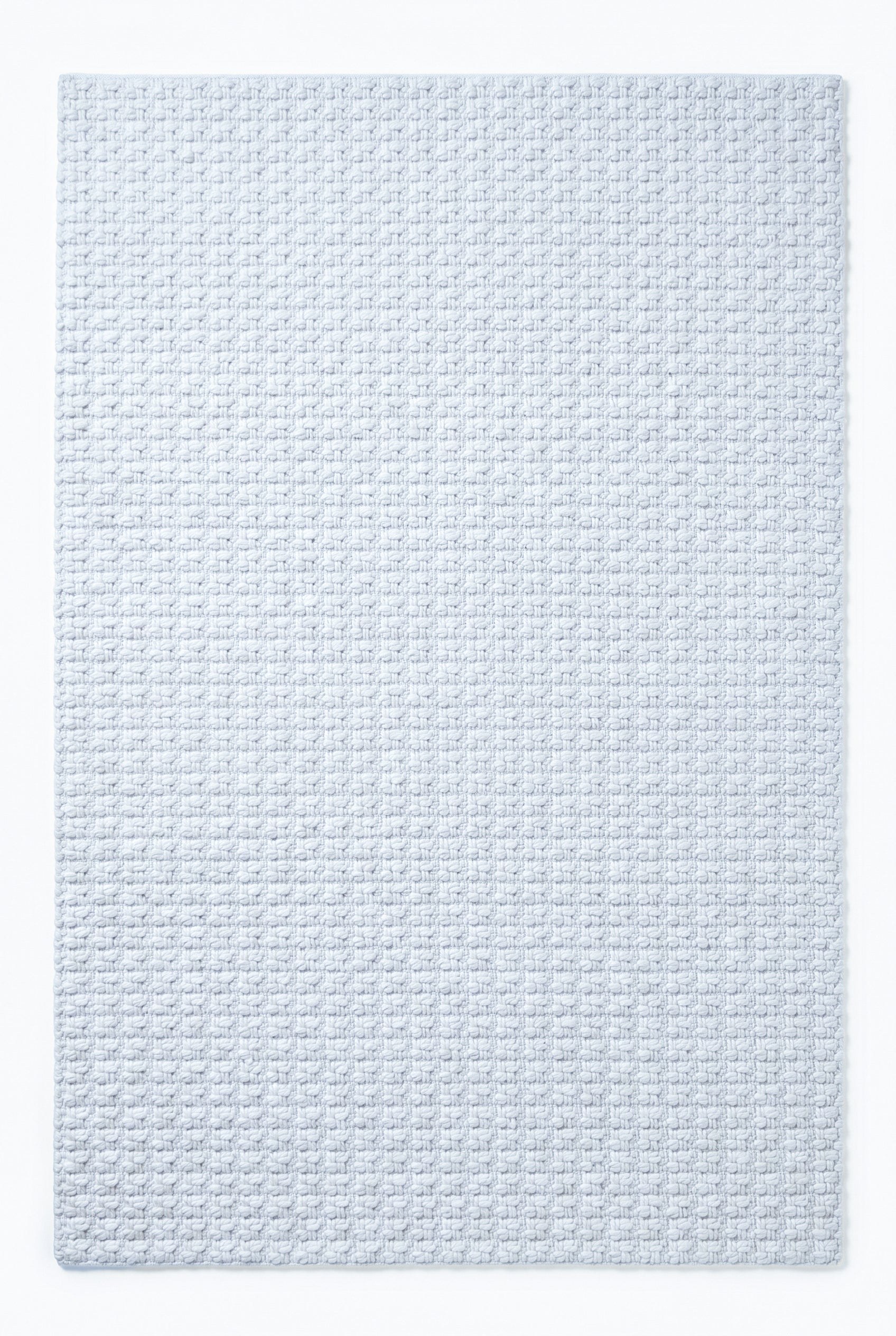 Ivalon Icy Blue Textured Woven Area Rug
