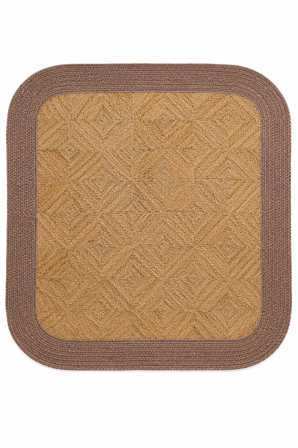 Torenne Honey Jute Braided Area Rug
