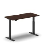 Pro Standing Desk