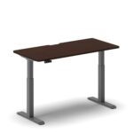 Pro Standing Desk