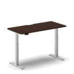 Pro Standing Desk