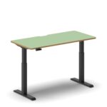 Pro Standing Desk