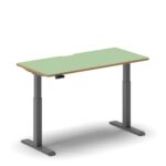 Pro Standing Desk
