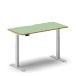 Pro Standing Desk
