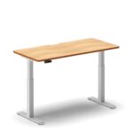 Pro Standing Desk