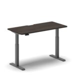 Pro Standing Desk