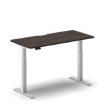 Pro Standing Desk