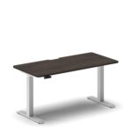 Pro Standing Desk