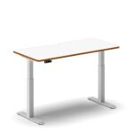Pro Standing Desk