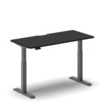 Pro Standing Desk