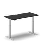 Pro Standing Desk