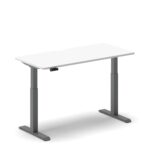 Pro Standing Desk