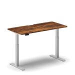 Pro Standing Desk