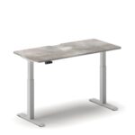 Pro Standing Desk