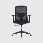 226 – Ergonomic Office Chair