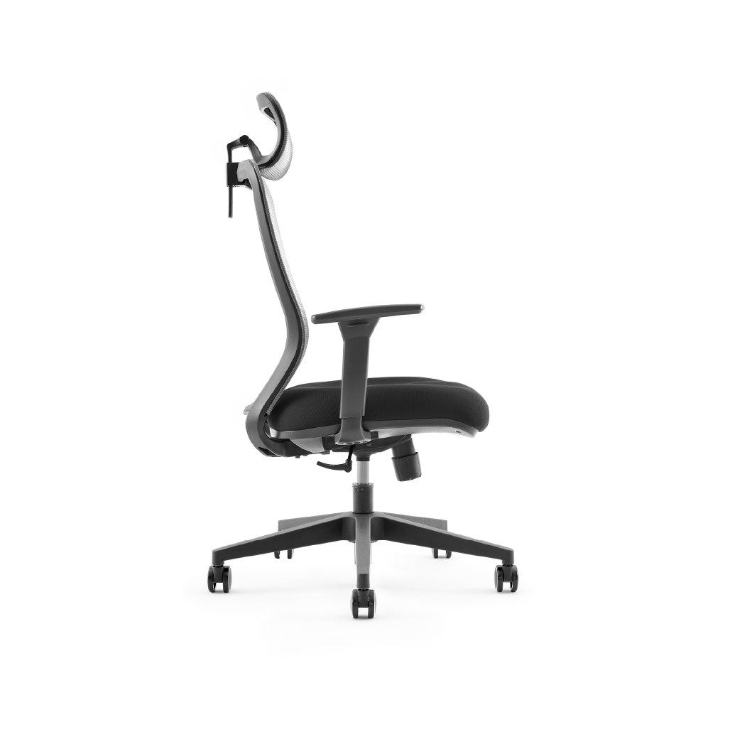 Ergolite Chair - Image 3