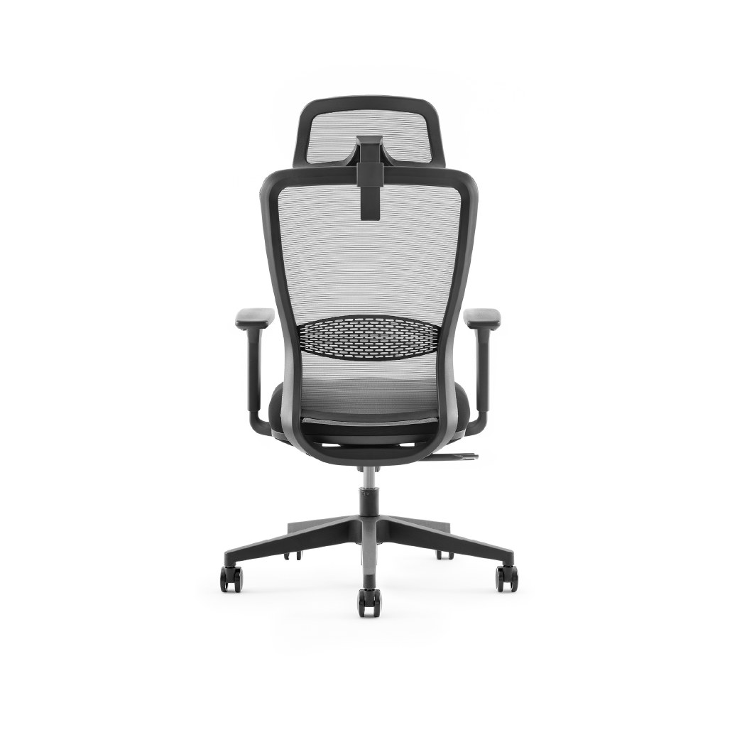 Ergolite Chair - Image 4