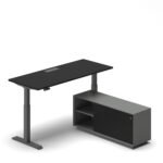 Pro Executive Standing Desk