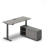 Pro Executive Standing Desk