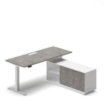 Pro Executive Standing Desk