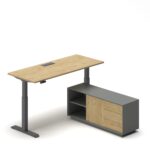 Pro Executive Standing Desk