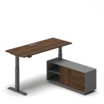 Pro Executive Standing Desk