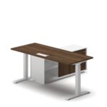 Pro Executive Standing Desk