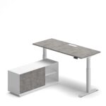 Pro Executive Standing Desk