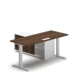 Pro Executive Standing Desk