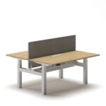 Duo Standing Desk