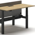 Duo Standing Desk