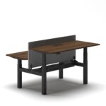 Duo Standing Desk