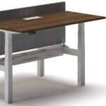 Duo Standing Desk