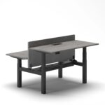 Duo Standing Desk