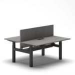 Duo Standing Desk