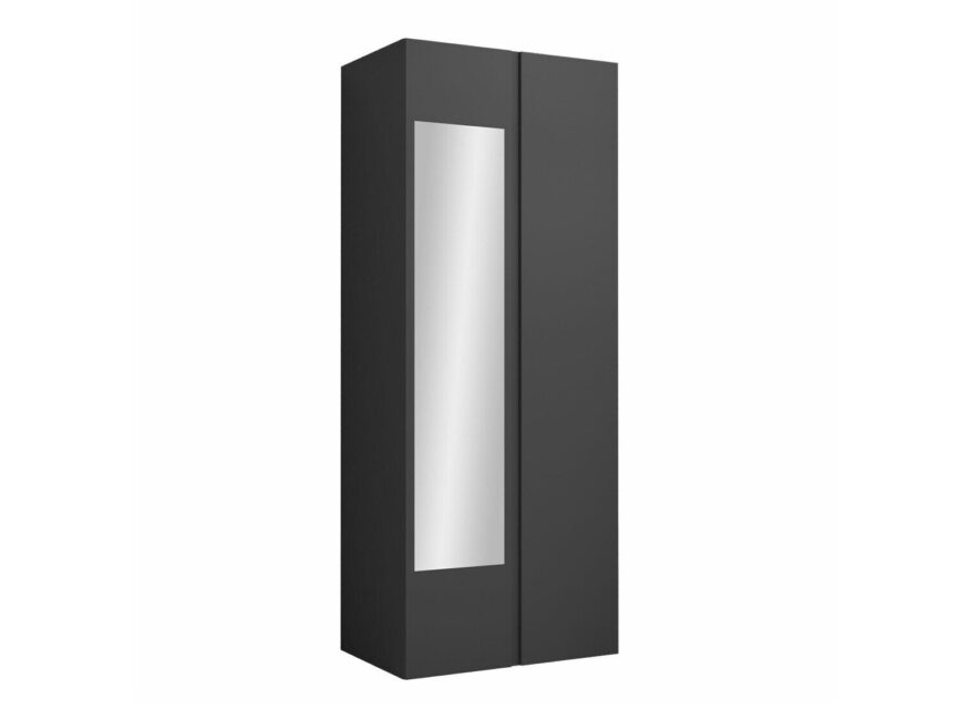 Wardrobe Pinis I (Artisan oak + Black)