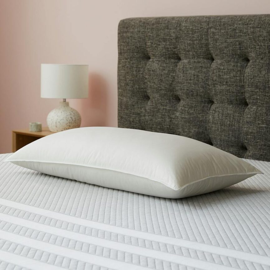 Dyna King Down Pillow photo 1