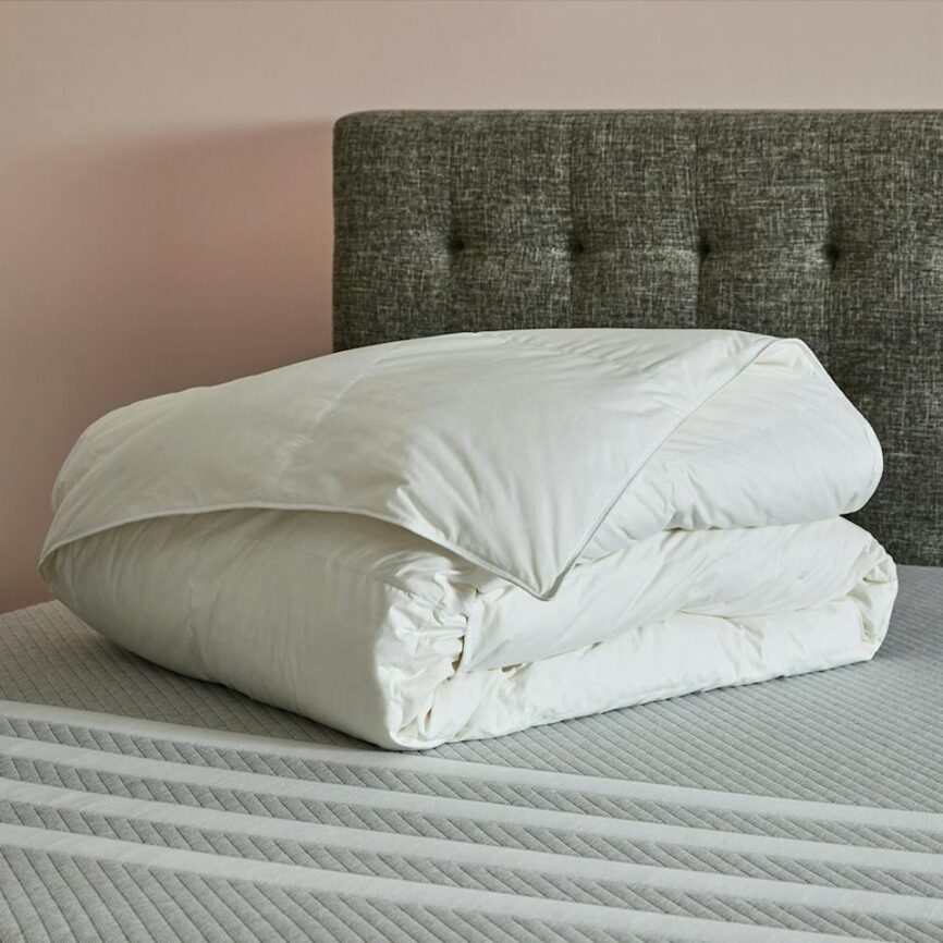 Dyna King Down Duvet photo 1